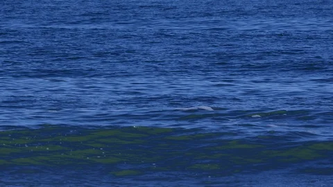 Ocean Stock Footage 127152201