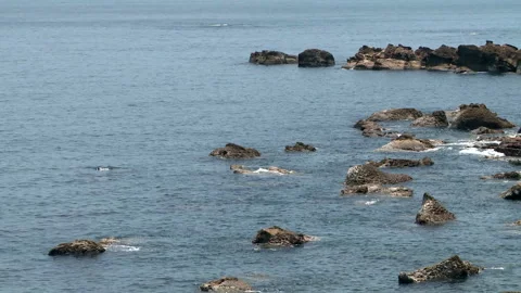 Ocean Stock Footage 327571649