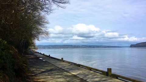 Ocean Forest Coastline Stock Footage 75240206