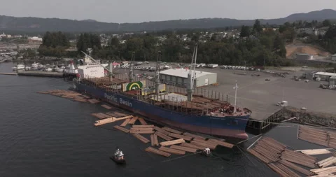 Ocean freighter loading logs for export in Port Alberni Stock Footage 342770759