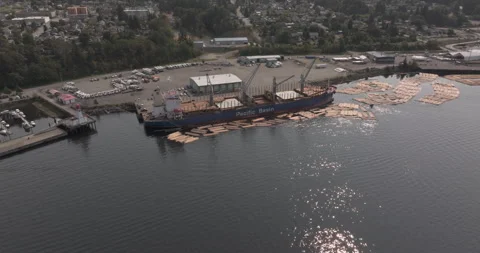 Ocean freighter loading logs for export in Port Alberni Stock Footage 342770844
