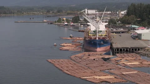 Ocean freighter loading logs for export in Port Alberni Stock Footage 342770880