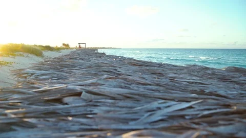 Ocean front beach Stock Footage 119937822