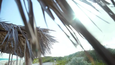 Ocean front beach Stock Footage 119937979