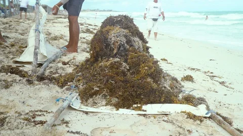 Ocean front beach Stock Footage 119938008