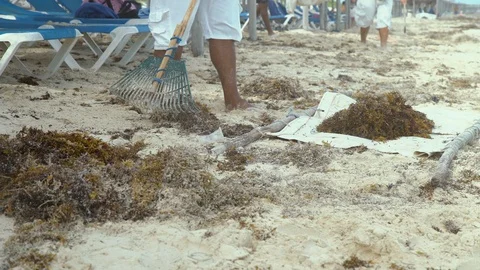 Ocean front beach Stock Footage 119938156