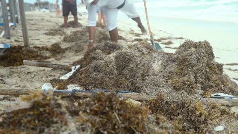 Ocean front beach Stock Footage 119938165