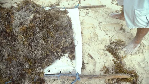 Ocean front beach Stock Footage 119938184