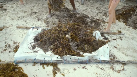 Ocean front beach Stock Footage 119938194