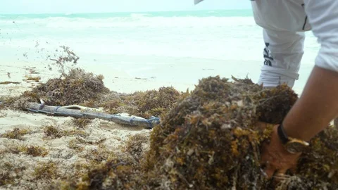 Ocean front beach Stock Footage 119938268