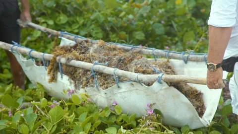 Ocean front beach Stock Footage 119938293