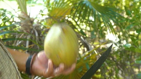 Ocean front beach Stock Footage 119939178