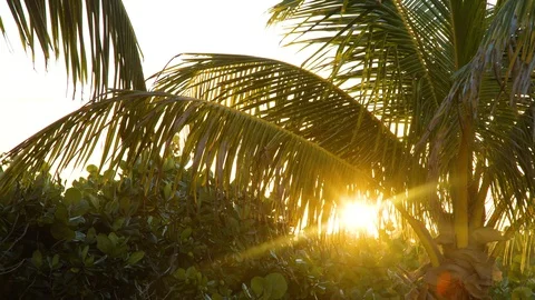 Ocean front beach Stock Footage 119939202