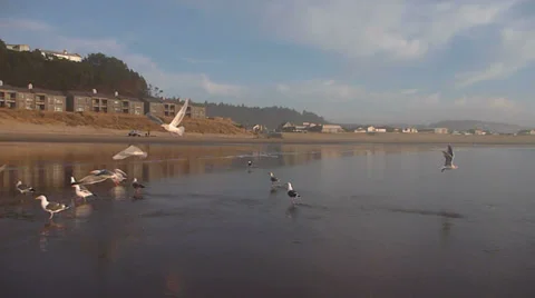 Ocean Front Beach Rentals Stock Footage 34256130