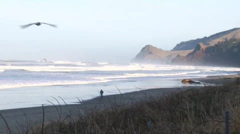 Ocean Front Hotel View Stock Footage 34528990