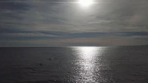 Ocean fun Stock Footage 90096579