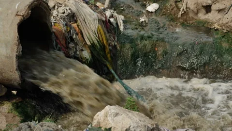 The ocean of garbage in the river banks Stock Footage 139053698