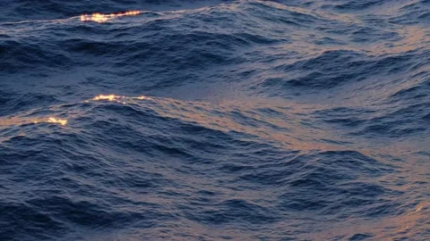 Ocean High Sunset 動画素材 172551265