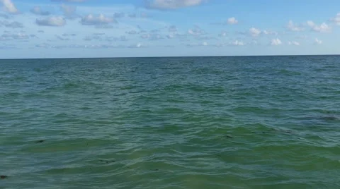 Ocean Horizon, 4K Stock Footage 54089109