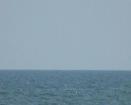 Ocean Horizon Background Vídeo Stock 84612