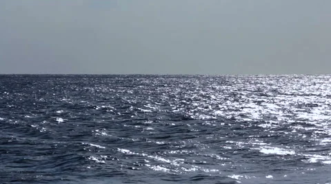 Ocean Horizon 動画素材 53488355