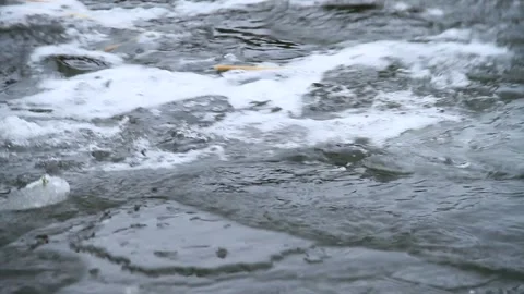 Ocean ice Stock Footage 240722383