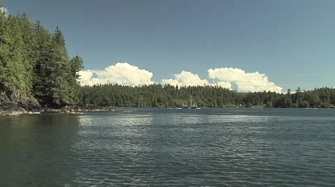 Ocean Inlet Pacific Rim in Canada Stock Footage 1098510