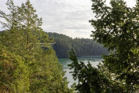 Ocean inlet through forest cliffs with clouds above Stock Photos