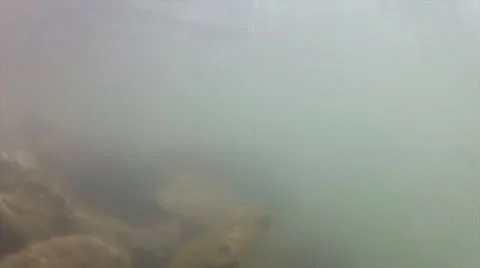 Ocean jetty Stock Footage 22111926