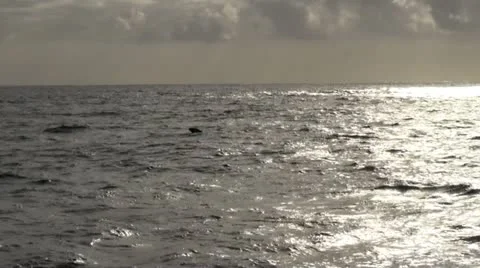 Ocean KASATKI.m2t Stock Footage 21978908