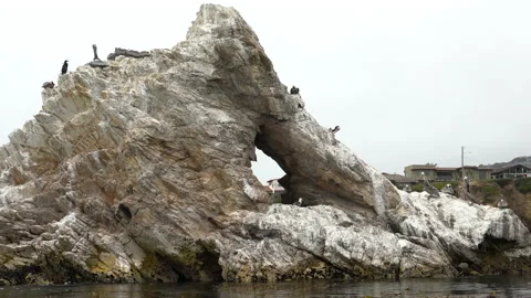 Ocean kayaking. Cliffs, Caves, Rocks, Arches, and Flock of Birds. Shell Beach,CA Stock-Footage 136063542