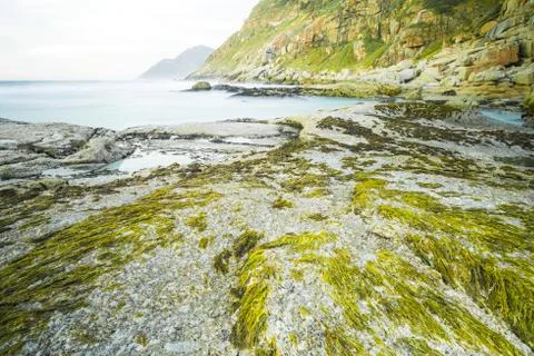 Ocean lan Stock Photos