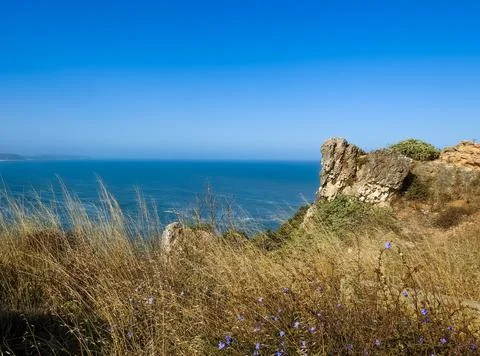 Ocean landscape Stock Photos
