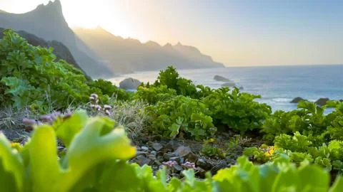 Ocean landscape Stock Photos