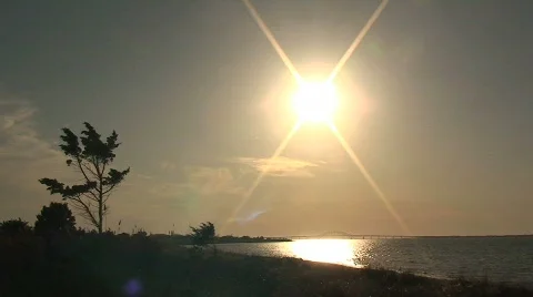 Ocean Landscape with Tree and Sunset Stock Footage 361747