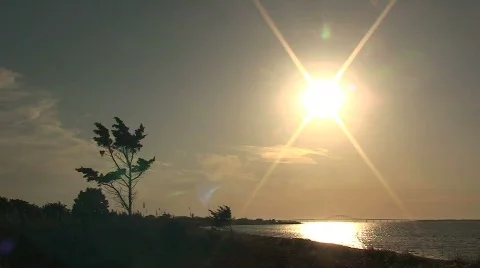 Ocean Landscape with Tree and Sunset – Time Lapse Stock Footage 361791