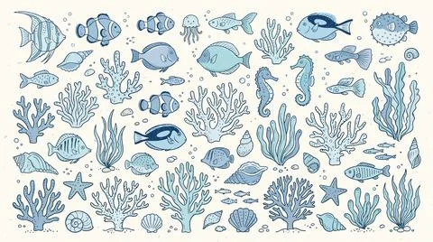 Ocean life collection featuring blue marine animals corals and seashells el.. Stock-Illustration