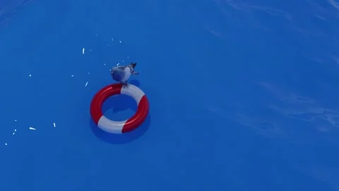 Ocean Life Stock Footage 170461254