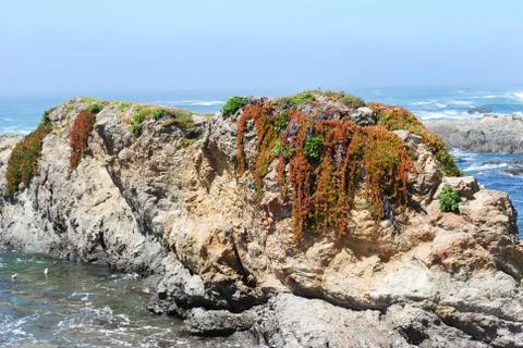 Ocean Life Foto stock