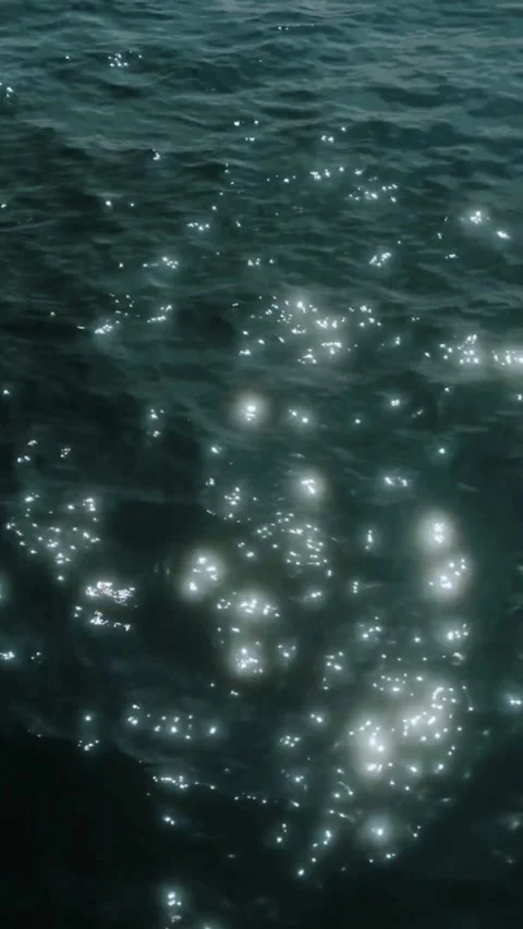 Ocean Light Reflections Video stock 337082701