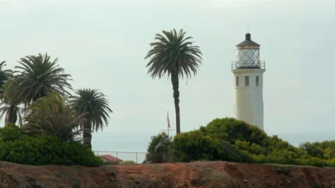 Ocean Lighthouse Palm Trees Stock Footage 79032325