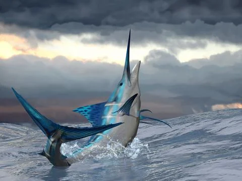 Ocean Marlin Stock Illustration