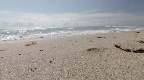 Ocean miami Stock Footage 10818723