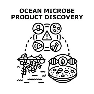 Ocean microbe product discovery process vector concept Stock Illustration