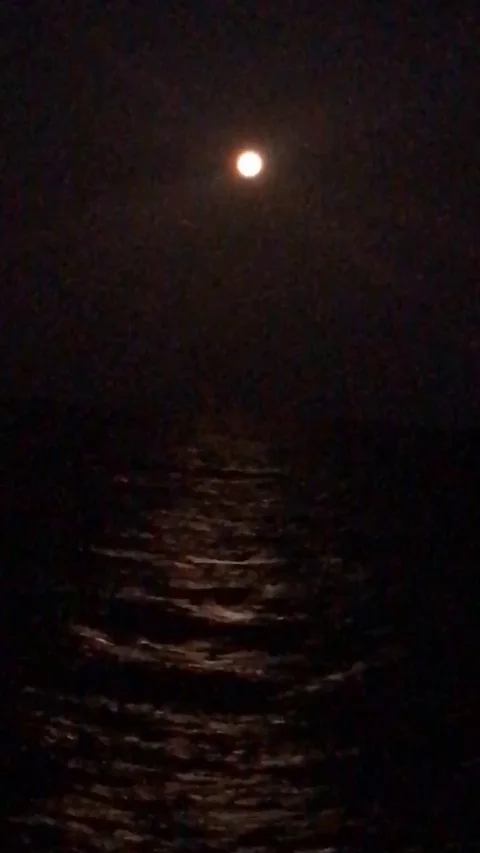 Ocean Moonlight Vídeos de archivo 105754367