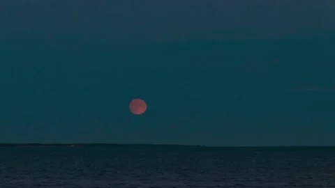 Ocean Moonrise Timelapse Stock Footage