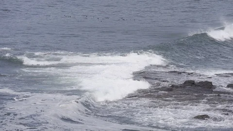 Ocean Oregan Stock Footage 108688874