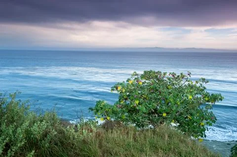 Ocean overlook Stock Photos