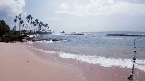 Ocean, palm, waves Stock Footage 116624058