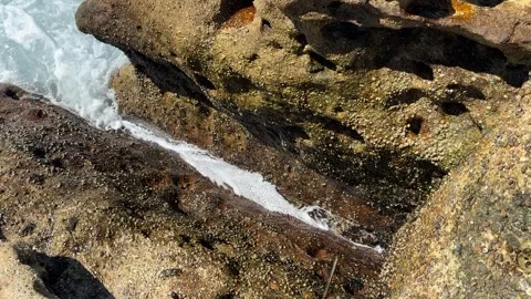 Ocean passing through stones Stock Footage 270214788
